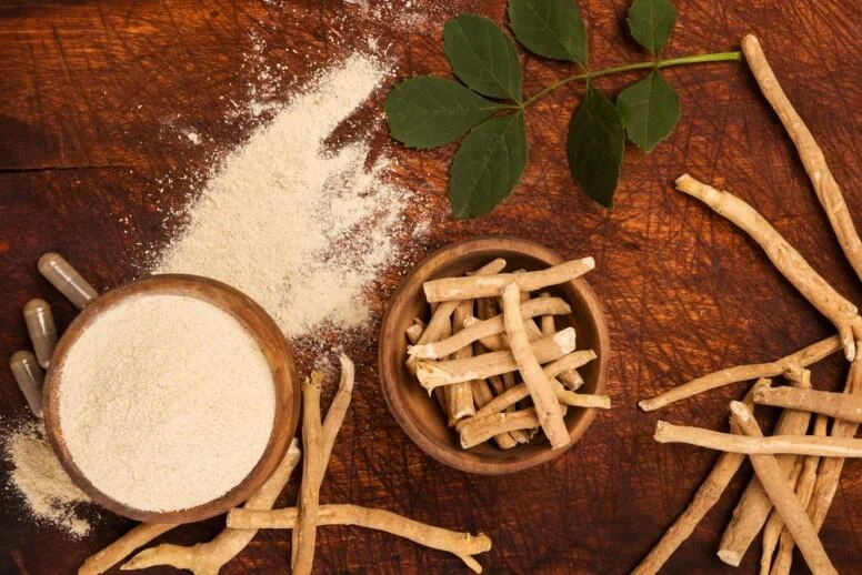 Naturalna ashwagandha (Withania somnifera) – korzeń, proszek i kapsułki na drewnianej desce. Surowiec roślinny znany z właściwości adaptogennych, stosowany w medycynie ajurwedyjskiej. Wysokiej jakości ekstrakt ashwagandhy wspiera redukcję stresu, poprawia odporność i zwiększa energię. Idealny suplement diety dla osób dbających o zdrowie psychiczne i fizyczne.