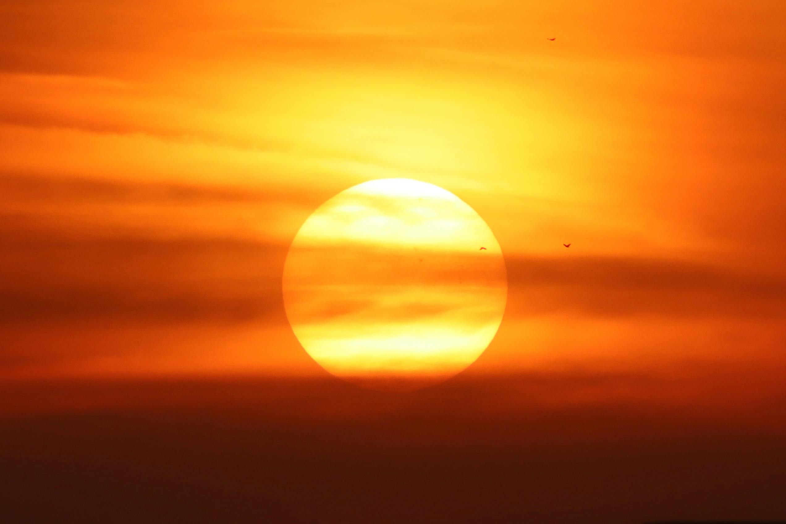 A breathtaking sunset with the sun setting behind clouds and birds flying across the vibrant sky. dzięki słońcu w naszym organizmie produkowana jest witamina D3