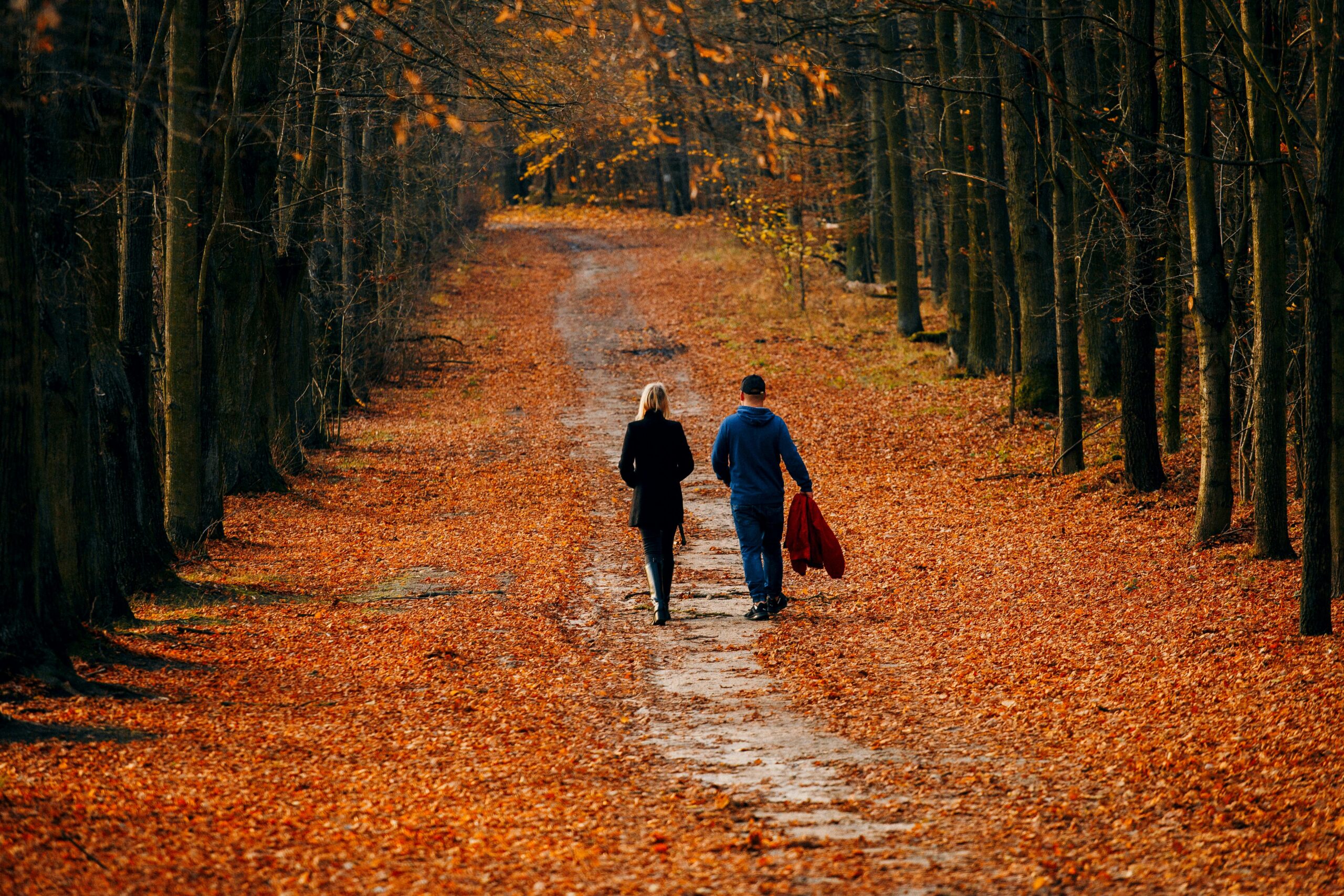 jak zachować motywację A couple walks along a leaf-covered forest path during a vibrant autumn day.