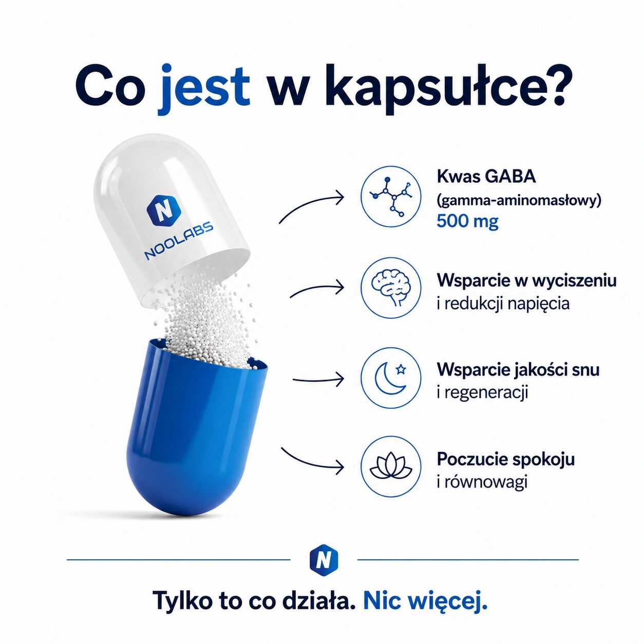Co jest w kapsułce PureGABA — 500 mg czystej GABA, zero zapychaczy, zero barwników